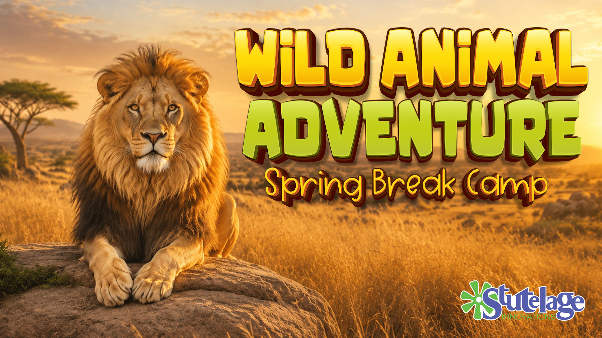 PM - Wild Animal Adventure Spring Break Camp - ORCHARD PARK